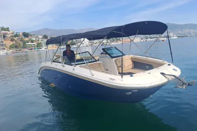 Sea Ray SDX 290