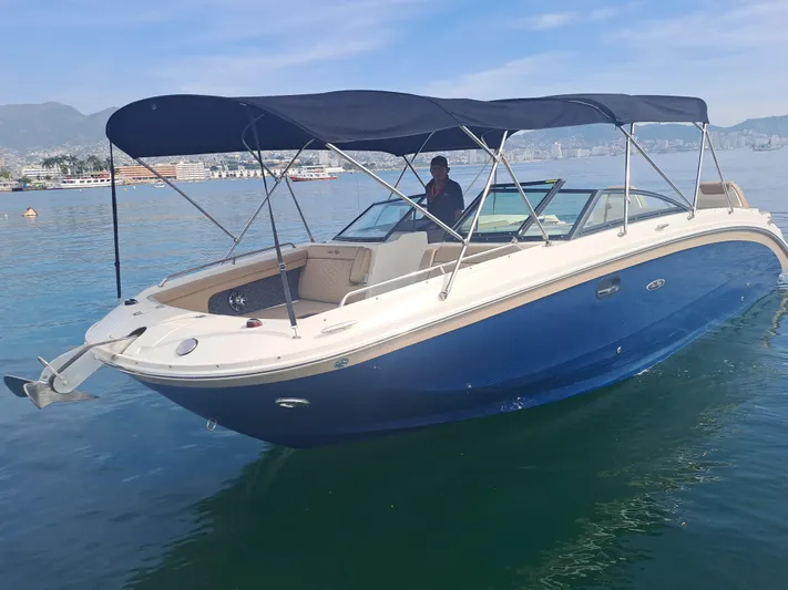 2019 Sea Ray 290 Sdx @ Acapulco Yacht Photos Pics 