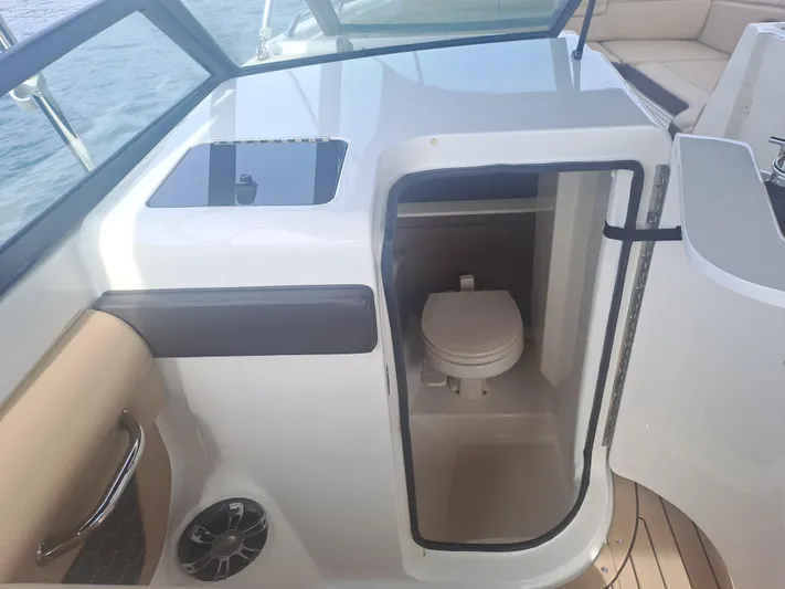 2019 Sea Ray 290 Sdx @ Acapulco Yacht Photos Pics 