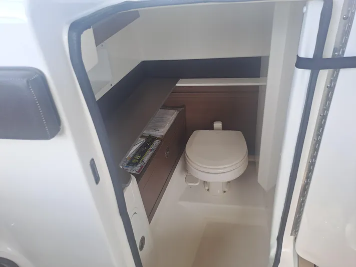 2019 Sea Ray 290 Sdx @ Acapulco Yacht Photos Pics 