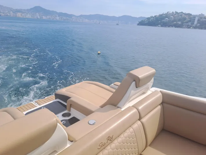 2019 Sea Ray 290 Sdx @ Acapulco Yacht Photos Pics 