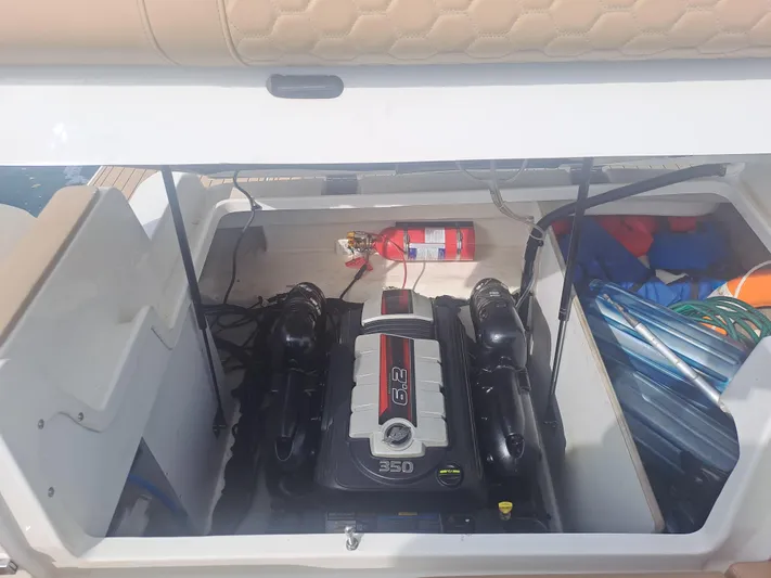 2019 Sea Ray 290 Sdx @ Acapulco Yacht Photos Pics 