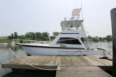 Striker boats for sale