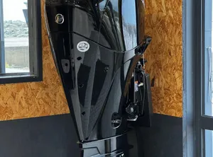 2024 Mercury 200cv V6