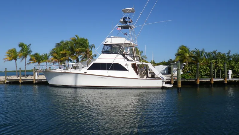 Lolly Yacht Photos Pics 