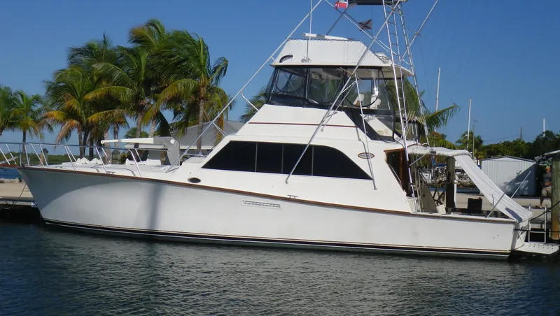 Lolly Yacht Photos Pics 