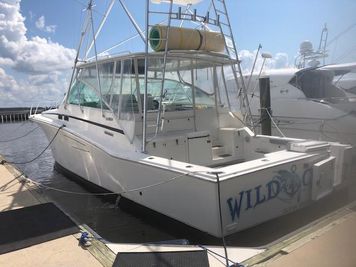 1998 Cabo Express