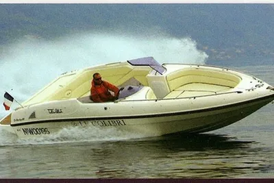 2006 Tullio Abbate sea star open