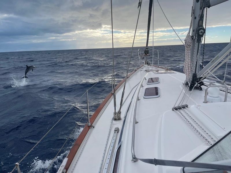 2003 Bavaria OCEAN 44 Center Cockpit