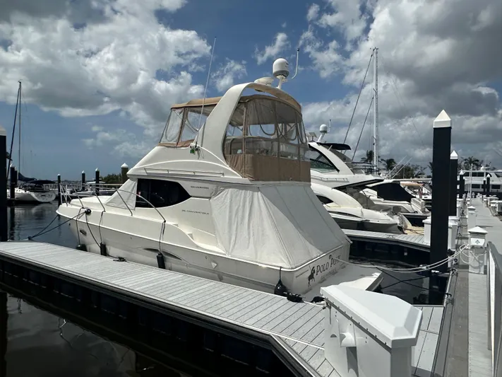 Polo Pony Yacht Photos Pics 