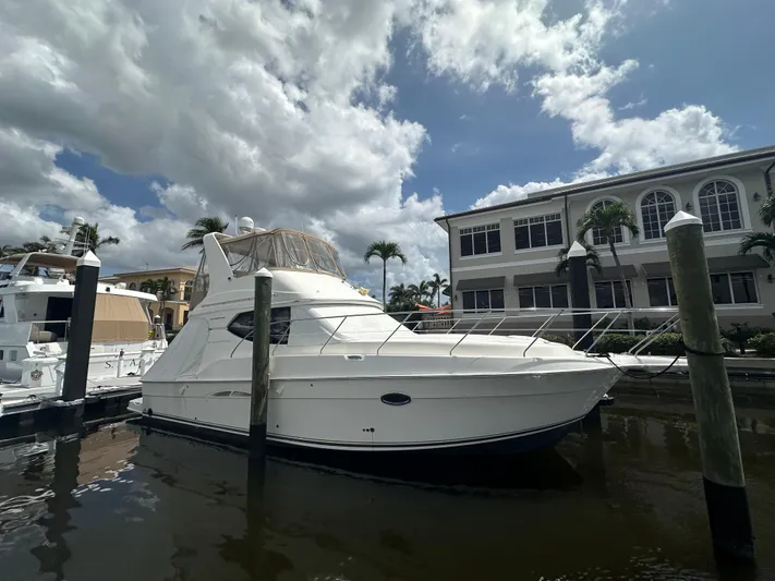 Polo Pony Yacht Photos Pics 