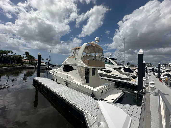 Polo Pony Yacht Photos Pics 