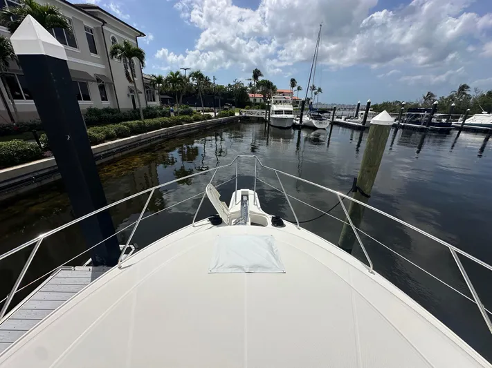 Polo Pony Yacht Photos Pics 