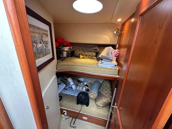 Polo Pony Yacht Photos Pics 