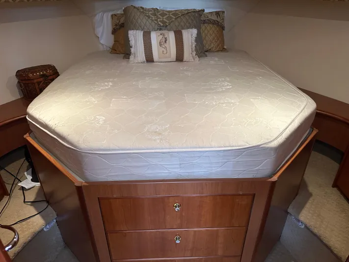 Polo Pony Yacht Photos Pics 