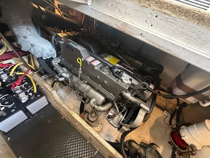 Polo Pony Yacht Photos Pics 