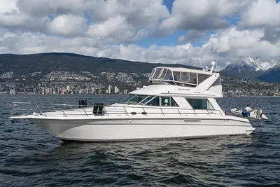 Sea Ray Sedan Bridge