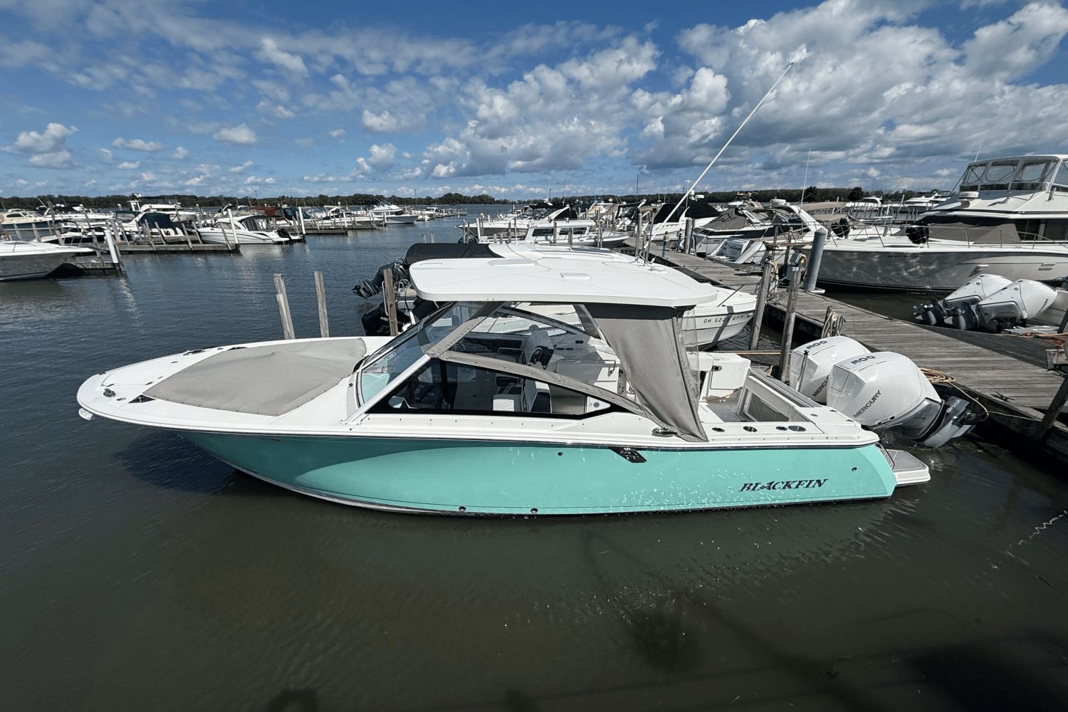 Blackfin 272 DC