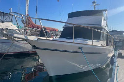 Ocean Ocean Commander Tri-Cabin
