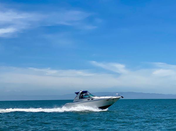 1999 Sea Ray Sundancer 310