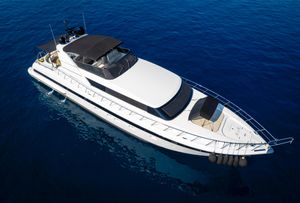 Mangusta 105