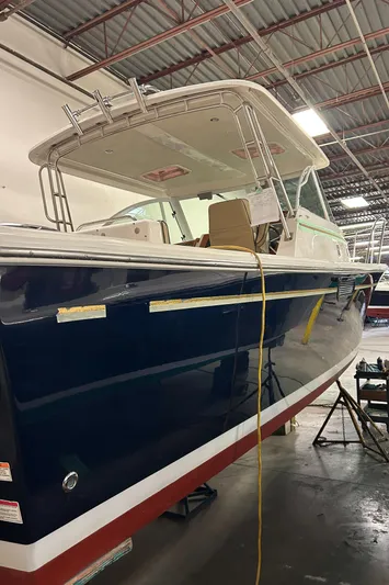 Amandita Yacht Photos Pics 