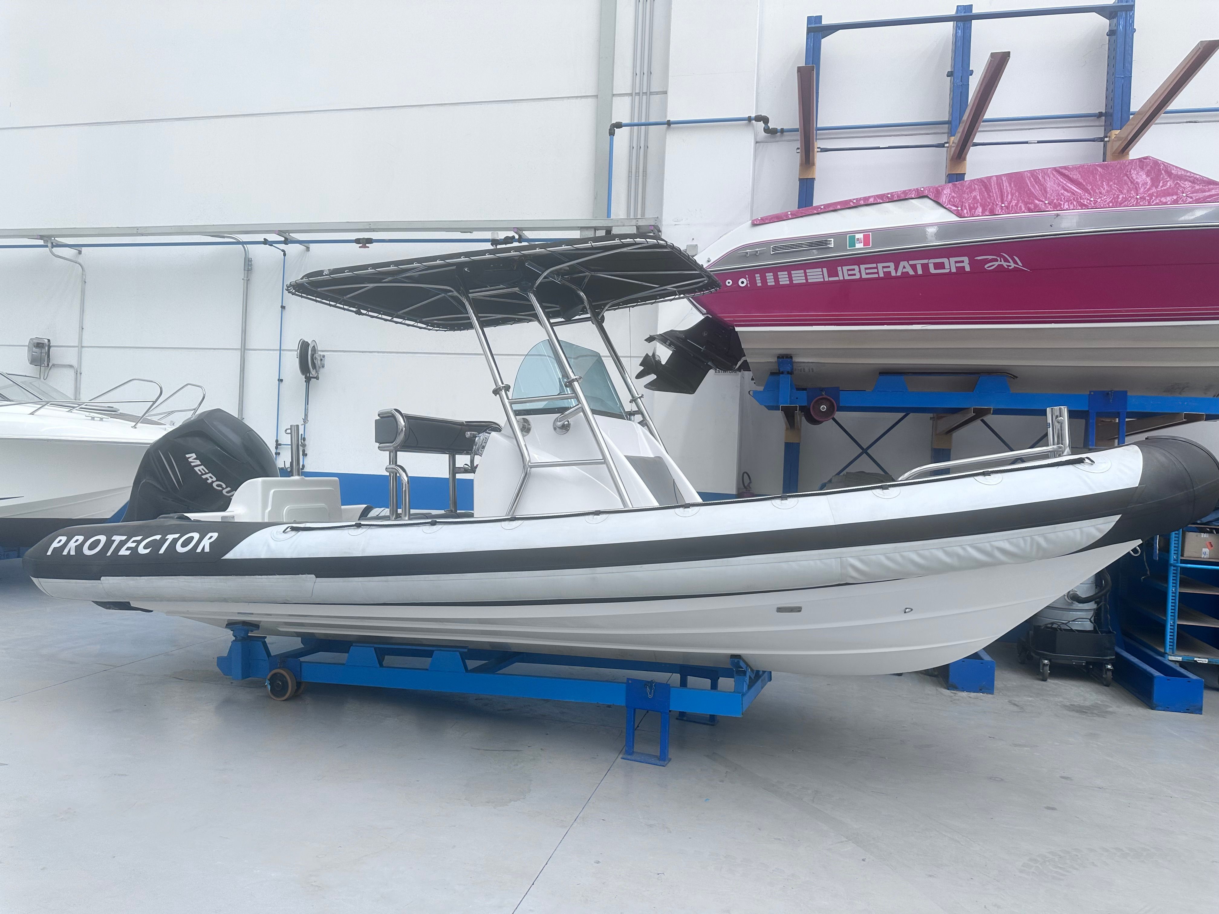 2010 Rayglass Protector 7