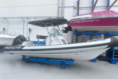 2010 Rayglass Protector 7