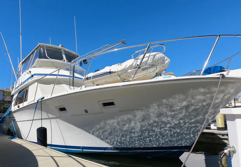 Lucky Pirate Yacht Photos Pics 