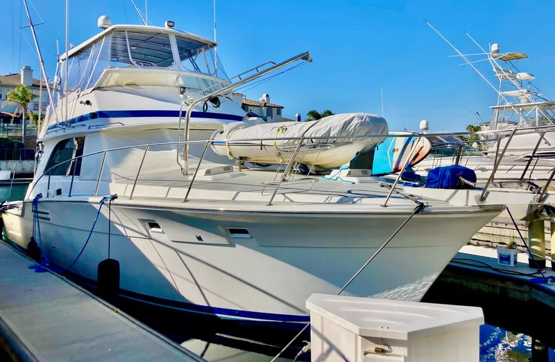 Lucky Pirate Yacht Photos Pics 