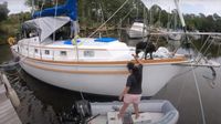 1974 Gulfstar Sailer Mark II