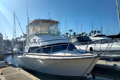 Bertram Sport Fisherman