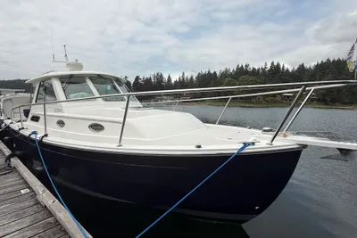 Back Cove 29