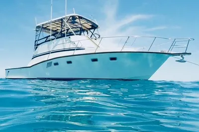 Cabo Rico Chase 38