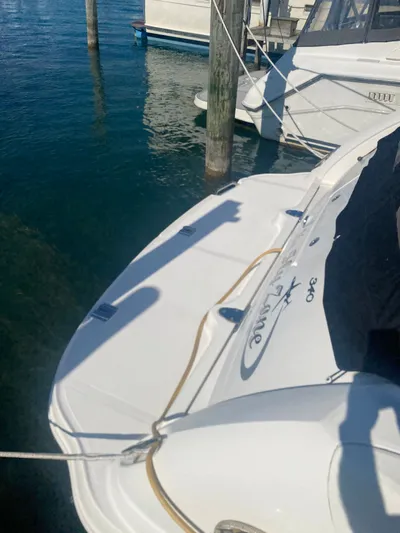 No Fly Zone Yacht Photos Pics 2003 Sea Ray 340 Sundancer docked at marina, sunny day, clear water.