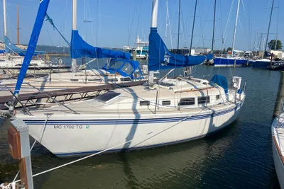 Newport 31