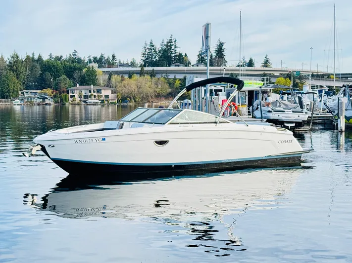  Yacht Photos Pics 2023 Cobalt R8 boat docked on calm water with scenic background.