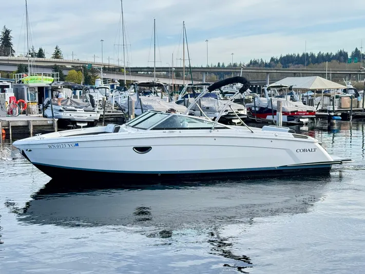  Yacht Photos Pics 2023 Cobalt R8 boat docked in a marina, surrounded by other vessels.