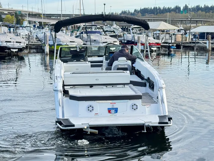  Yacht Photos Pics 2023 Cobalt R8 boat navigating marina waters, surrounded by docked boats.