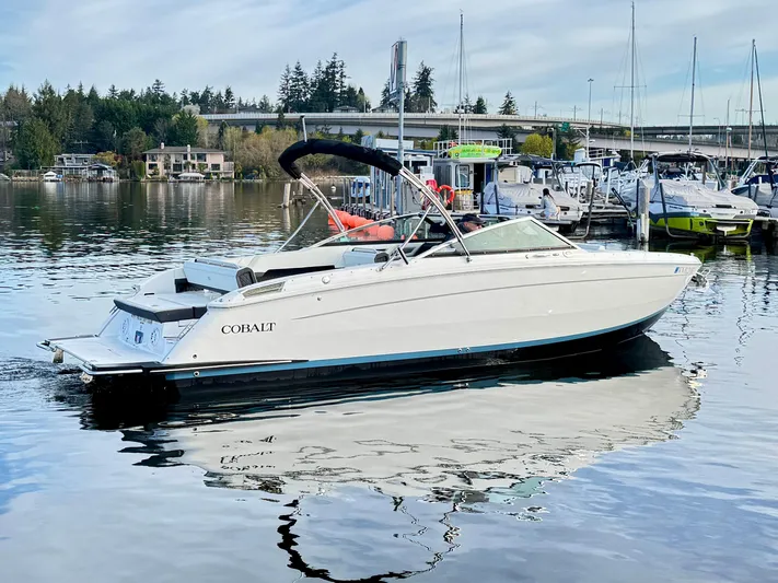  Yacht Photos Pics 2023 Cobalt R8 boat docked in a marina, surrounded by calm water and other vessels.