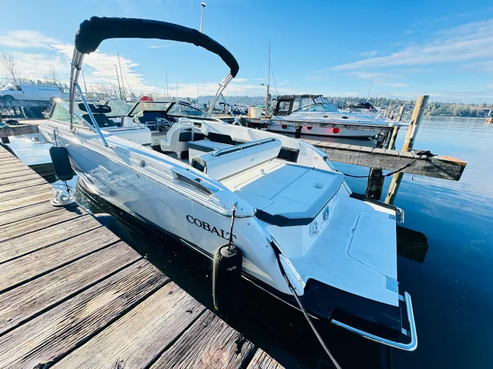  Yacht Photos Pics 2023 Cobalt R8 boat docked at marina, featuring sleek design and spacious seating.
