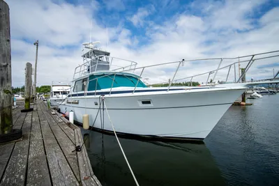 Bertram 42 Convertible