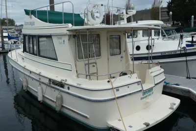 Camano 31