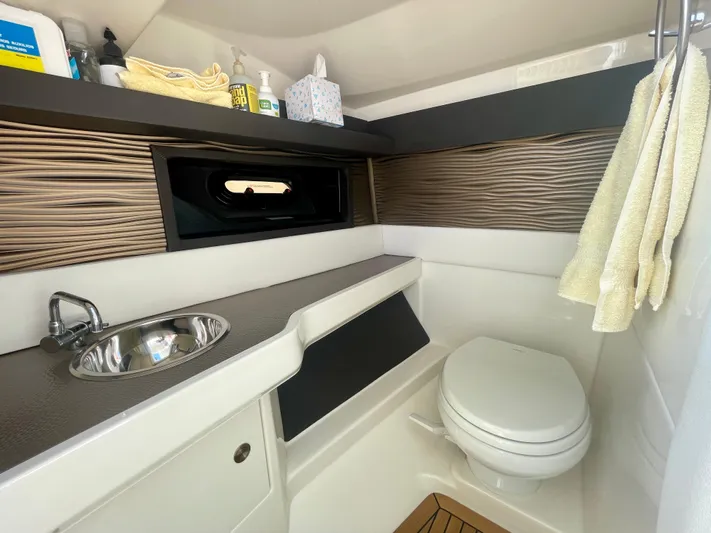Honey Yacht Photos Pics 2019 Sea Ray SLX 310 boat bathroom with sink, toilet, and storage shelves.