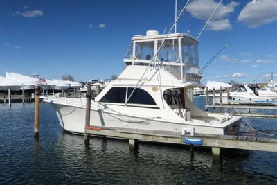 Jersey Dawn 36