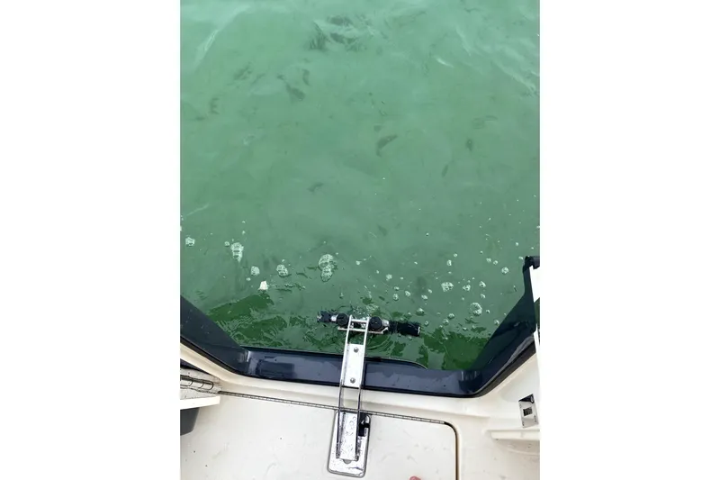  Yacht Photos Pics 2020 Scout 355 LXF boat stern view with green water.