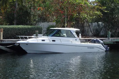 Everglades 320EX