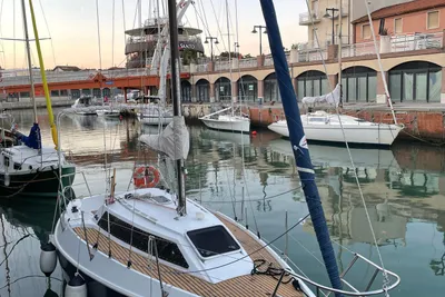 2019 Custom Tarantelle