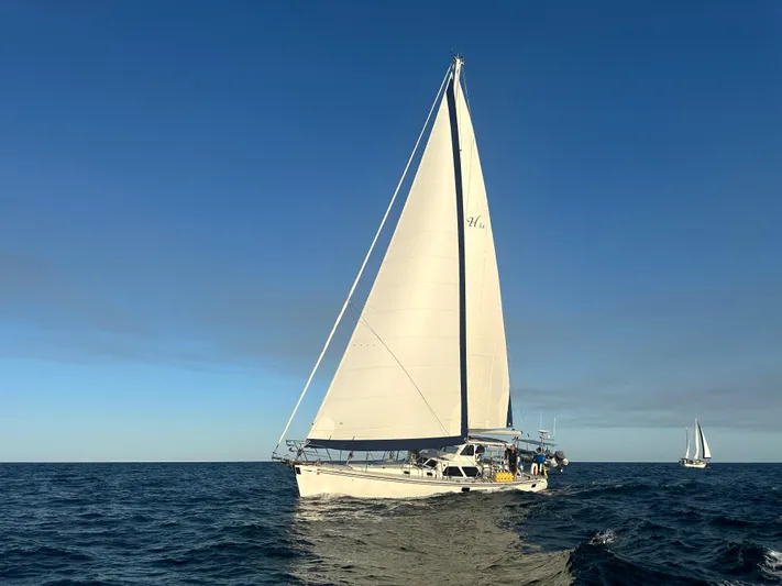 Mojo Yacht Photos Pics 