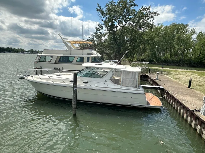 Nice Aft Yacht Photos Pics 